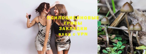 индика Струнино