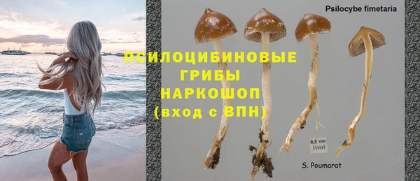 синтетический гашиш Вязьма