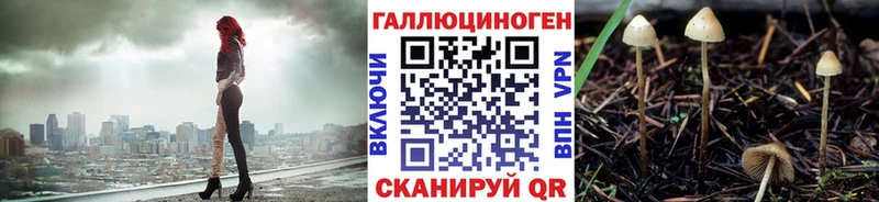 Галлюциногенные грибы Magic Shrooms  цена   Михайлов 